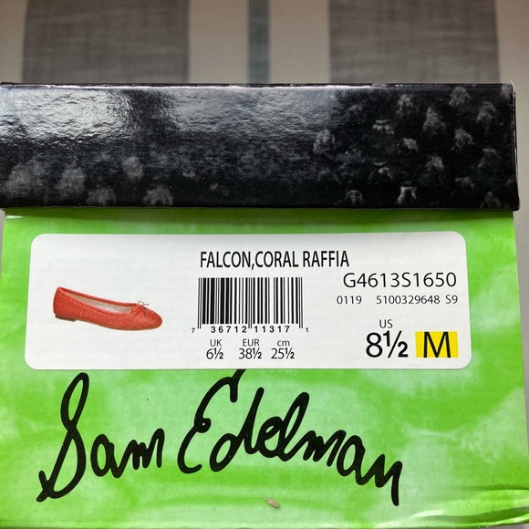 Sam Edelman Coral Raffia Ballet Flat - Picture 6 of 6